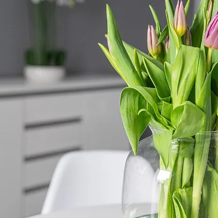 Apartman Green Leaf - Billberry Sopot